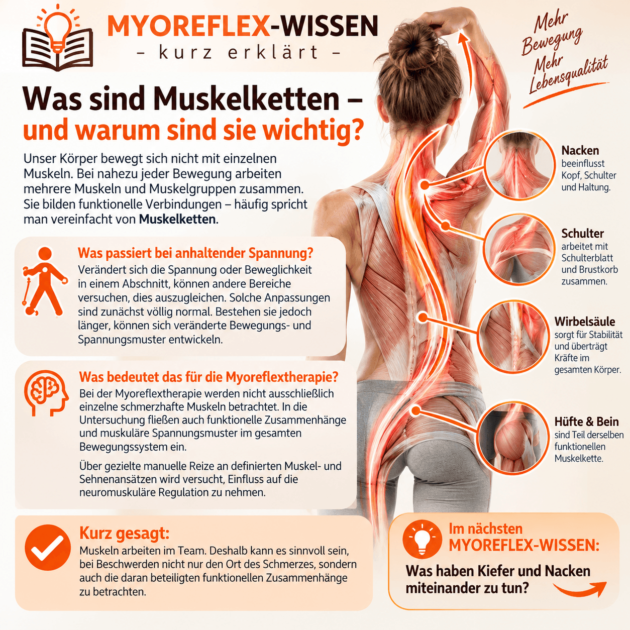 Was sind Muskelketten – und warum sind sie wichtig?