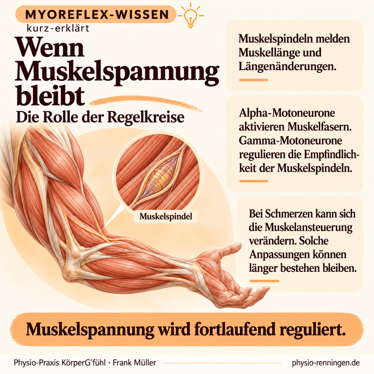 Wenn Muskelspannung bleibt. Die Rolle der Regelkreise