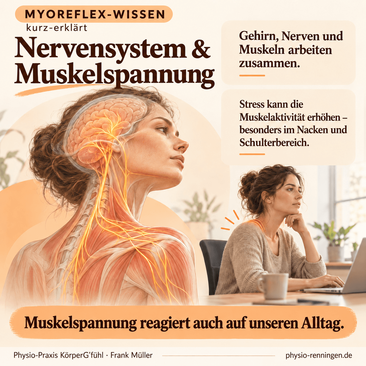 Nervensystem & Muskelspannung